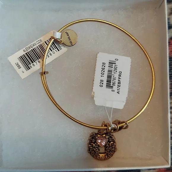 Alex and Ani Fortune's Favor Love & Luck Gold Bangle Bracelet - Picture 3 of 4